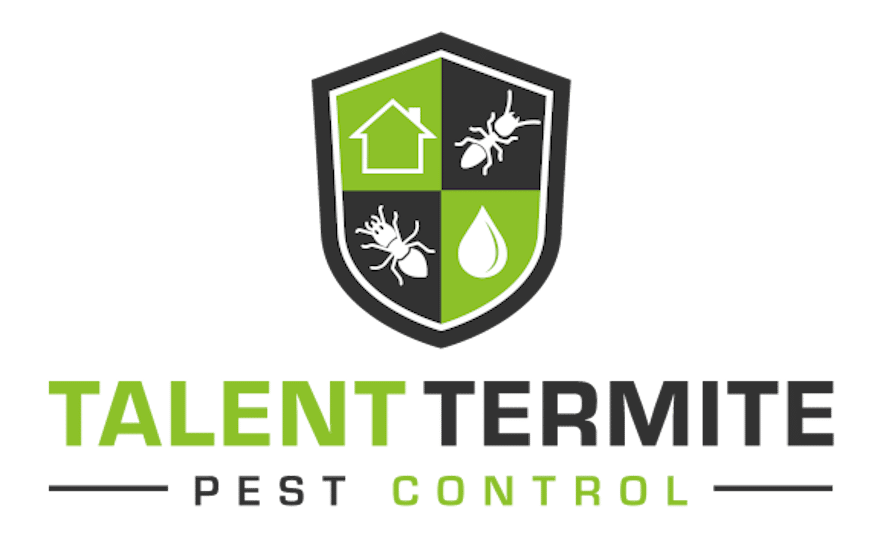 Talent Termite